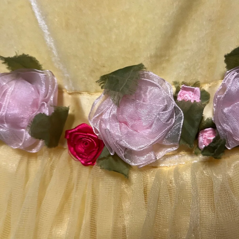 Disney beauty and the beast beast princess dress